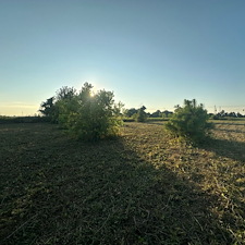 Professional-Commercial-Bush-Hogging-in-Clarksdale-MS 2